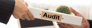 what are audited financial statements